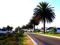 Front View of property in Shelley Point