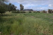 Front View of property in Hopefield