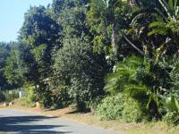 Land for Sale for sale in Trafalgar