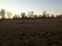 Land for Sale for sale in Rayton