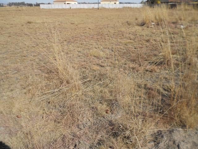 Land for Sale For Sale in Springs - Home Sell - MR094699