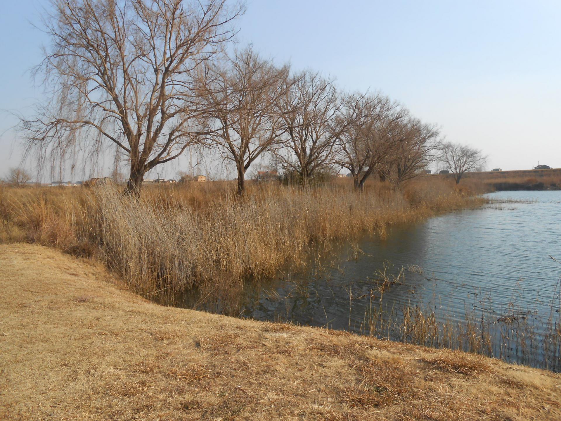 Front View of property in Bronkhorstspruit