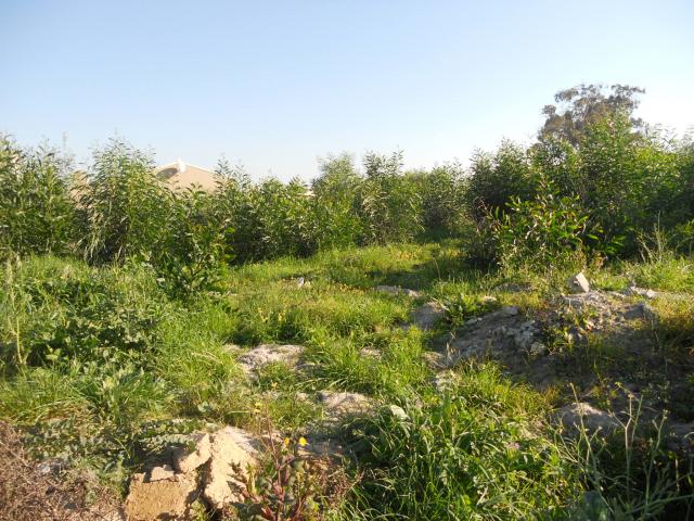 Land for Sale For Sale in Kuils River - Private Sale - MR094870