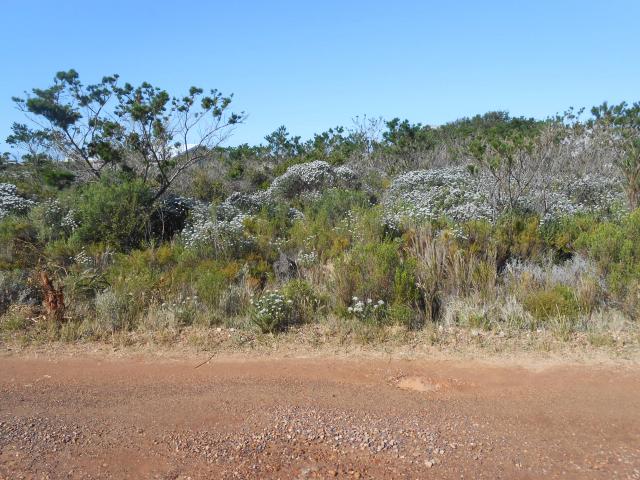 Land for Sale For Sale in Bettys Bay - Home Sell - MR094907