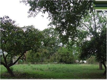 Front View of property in White River