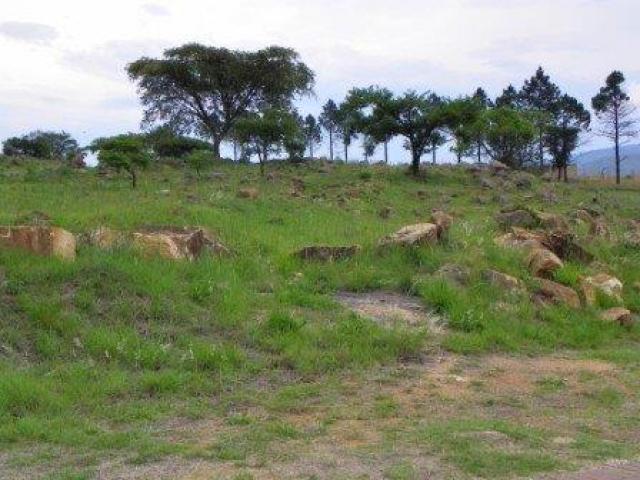 Land for Sale For Sale in Barberton - Home Sell - MR095688