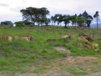 Land for Sale for sale in Barberton