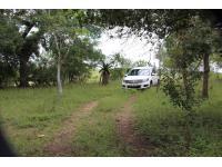 Spaces of property in Marloth Park
