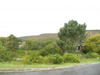Front View of property in Sedgefield