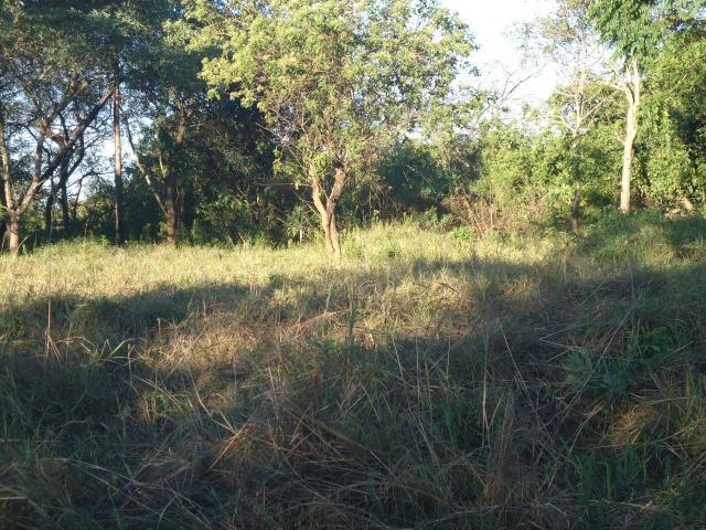 Land for Sale For Sale in Hazyview - Private Sale - MR096900