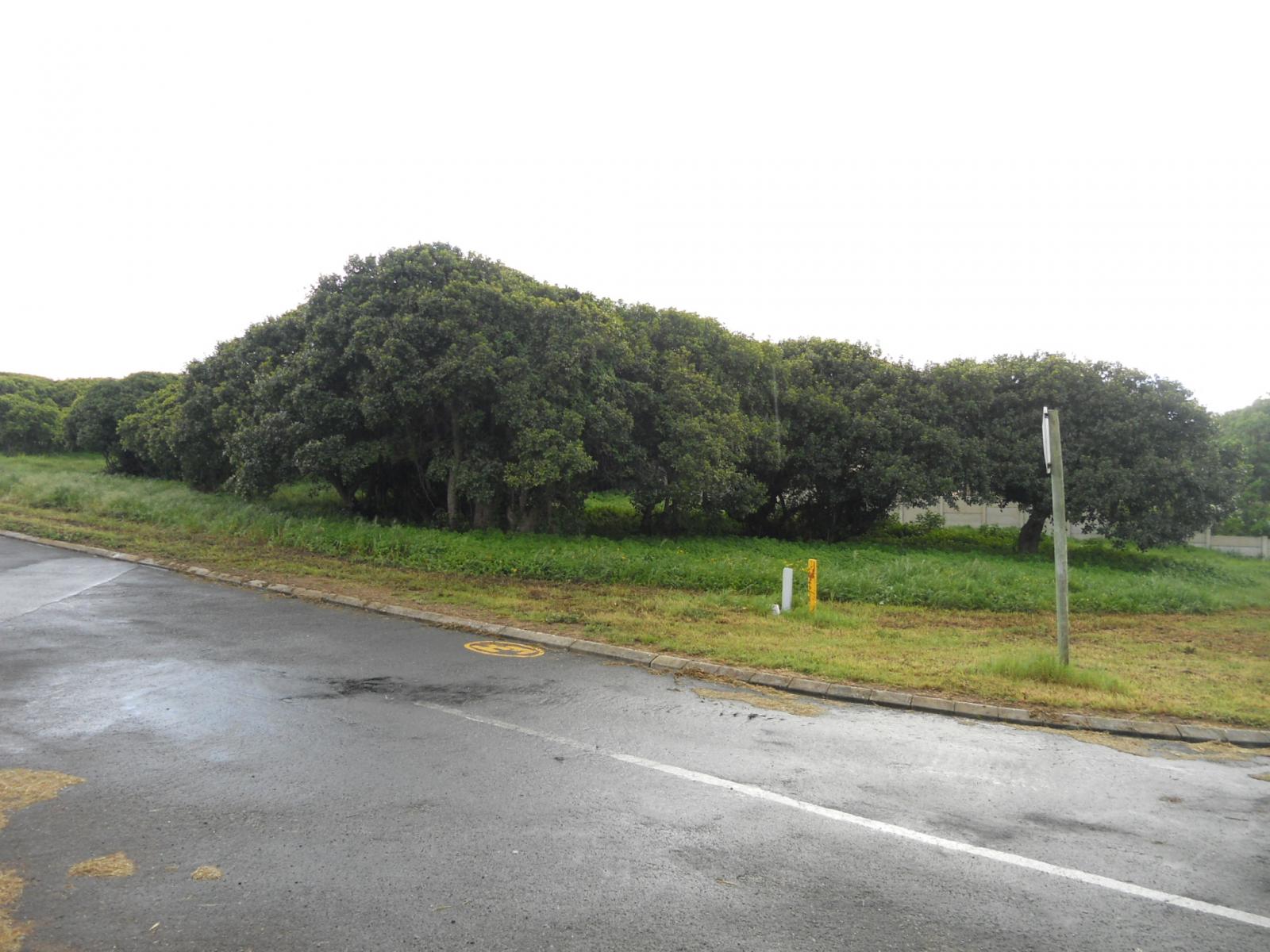 Front View of property in Van Dyks Bay