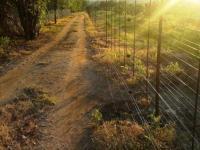 Backyard of property in Letsitele