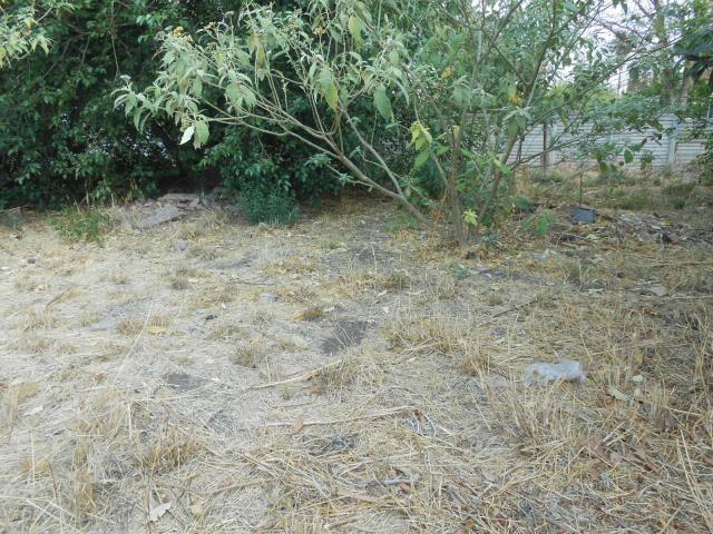 Land for Sale For Sale in Wolmer - Private Sale - MR099222