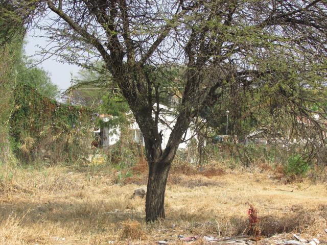 Land for Sale For Sale in Wolmer - Private Sale - MR099260