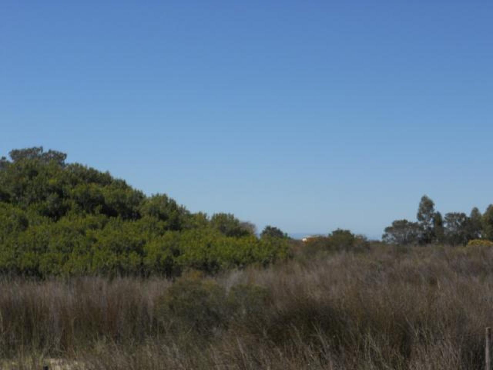 Front View of property in Hopefield