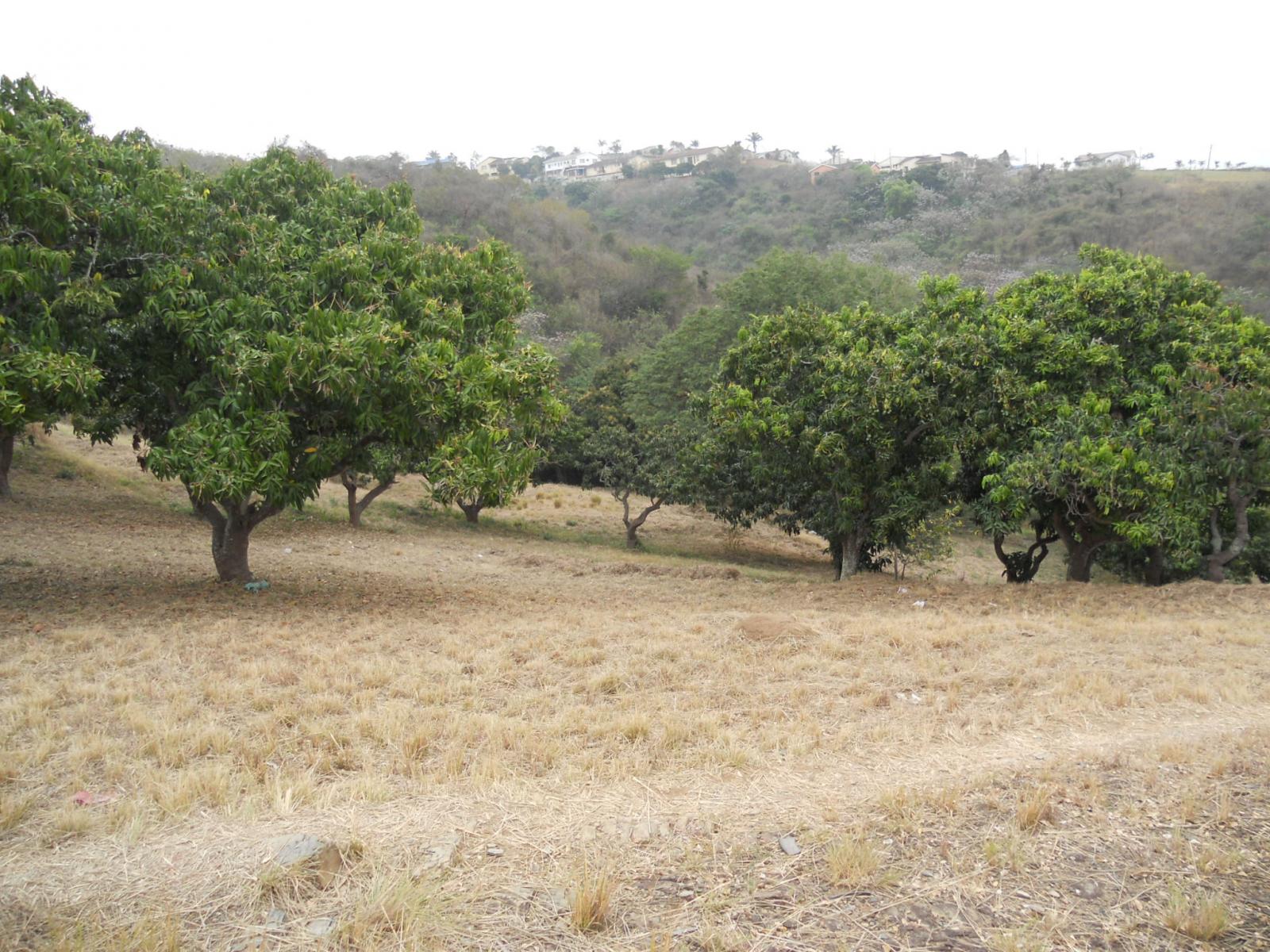 Front View of property in Verulam 