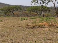 Land for Sale for sale in Barberton