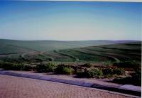 Land for Sale for sale in Malmesbury