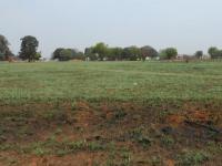 Smallholding for Sale for sale in Van Ryn S/H