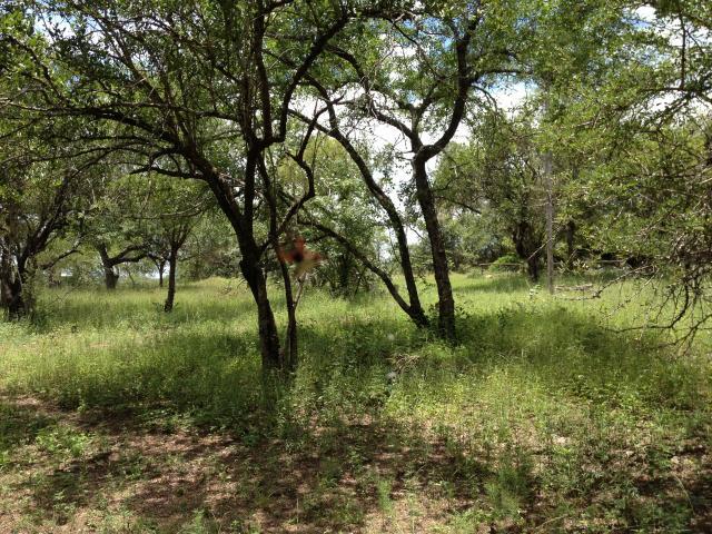 Land for Sale For Sale in Marloth Park - Private Sale - MR100093