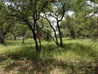 Spaces of property in Marloth Park