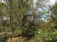 Land for Sale for sale in Marloth Park