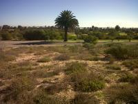 Front View of property in Shelley Point