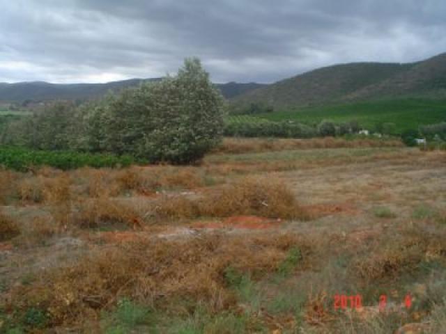 Land for Sale For Sale in Patensie - Home Sell - MR100205