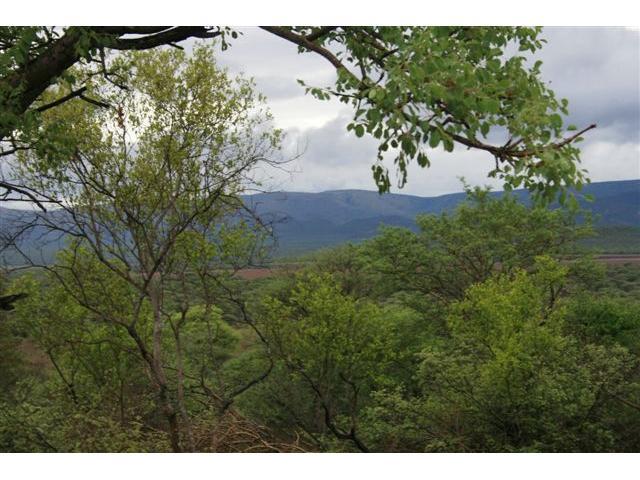 Land for Sale For Sale in Thabazimbi - Home Sell - MR100216