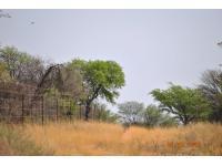 Spaces of property in Schweizer Reneke