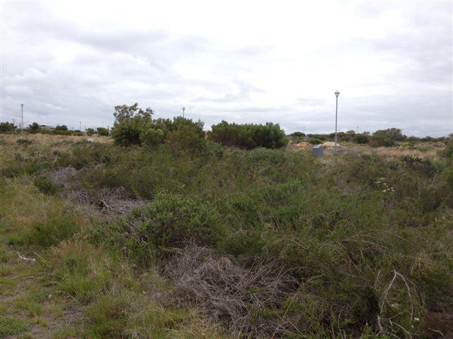 Land for Sale For Sale in Jeffrey's Bay - Private Sale - MR101250