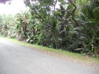 Land for Sale for sale in Trafalgar