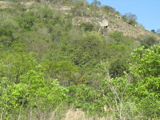 Land for Sale For Sale in Nelspruit Central - Private Sale - MR101501