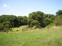 Land for Sale for sale in Clarendon Marine