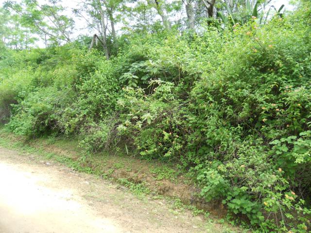 Land for Sale For Sale in Ramsgate - Home Sell - MR101635