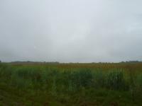 Land for Sale for sale in Zwavelpoort