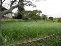 Land for Sale for sale in Tongaat