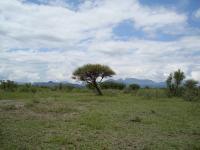 Front View of property in Thabazimbi