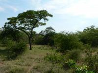 Land for Sale for sale in Bela-Bela (Warmbad)