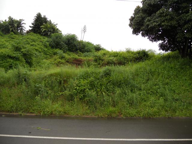 Land for Sale For Sale in Westville  - Private Sale - MR103702