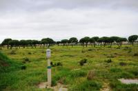 Front View of property in Langebaan