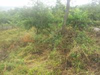 Land for Sale for sale in Nelspruit Central