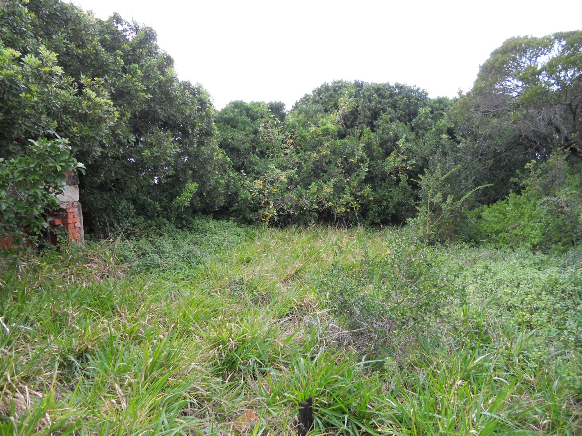 Front View of property in Beachview