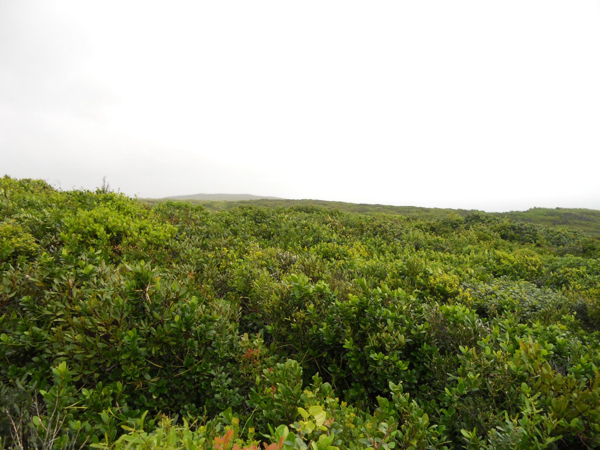 Front View of property in Beachview