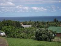 Backyard of property in Port Edward