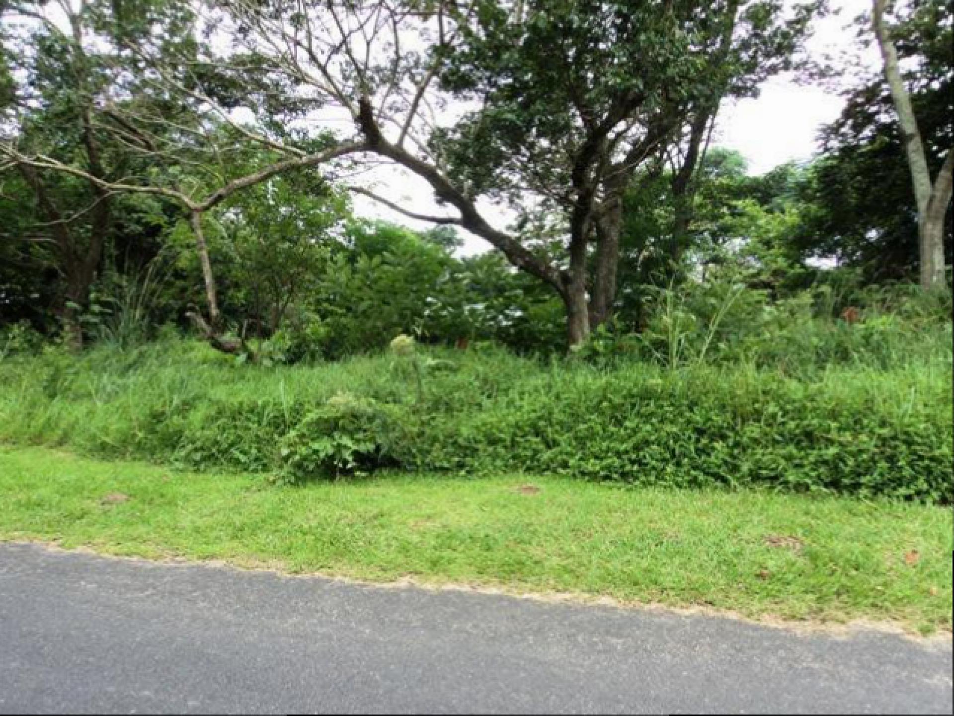 Front View of property in Pennington