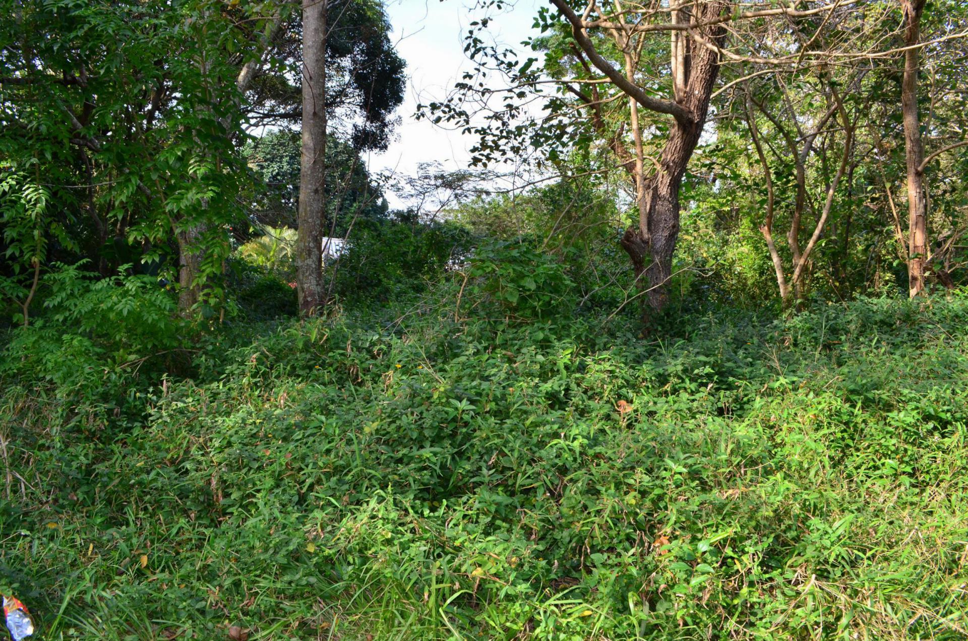 Front View of property in Pennington