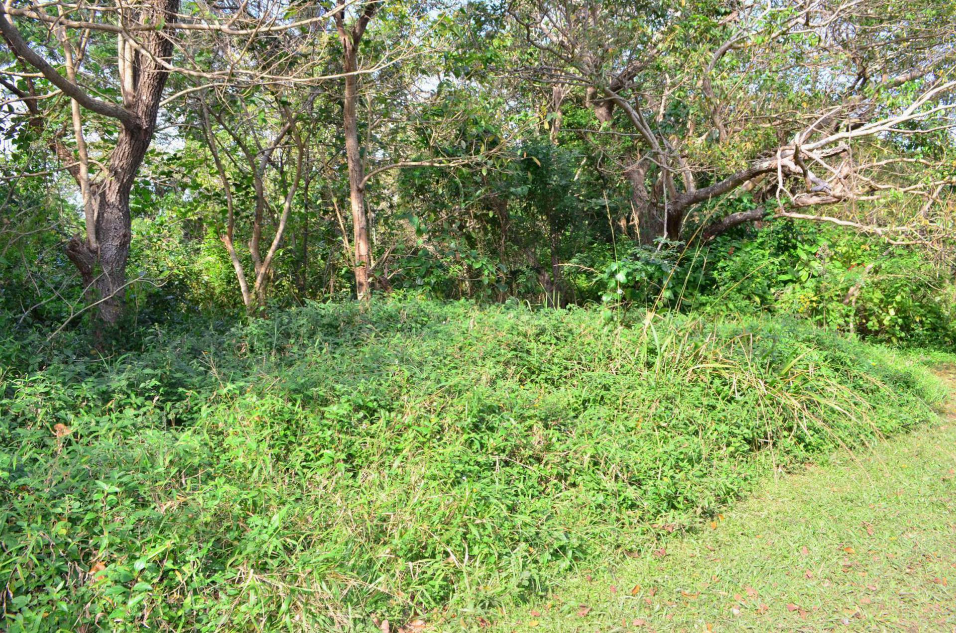 Front View of property in Pennington