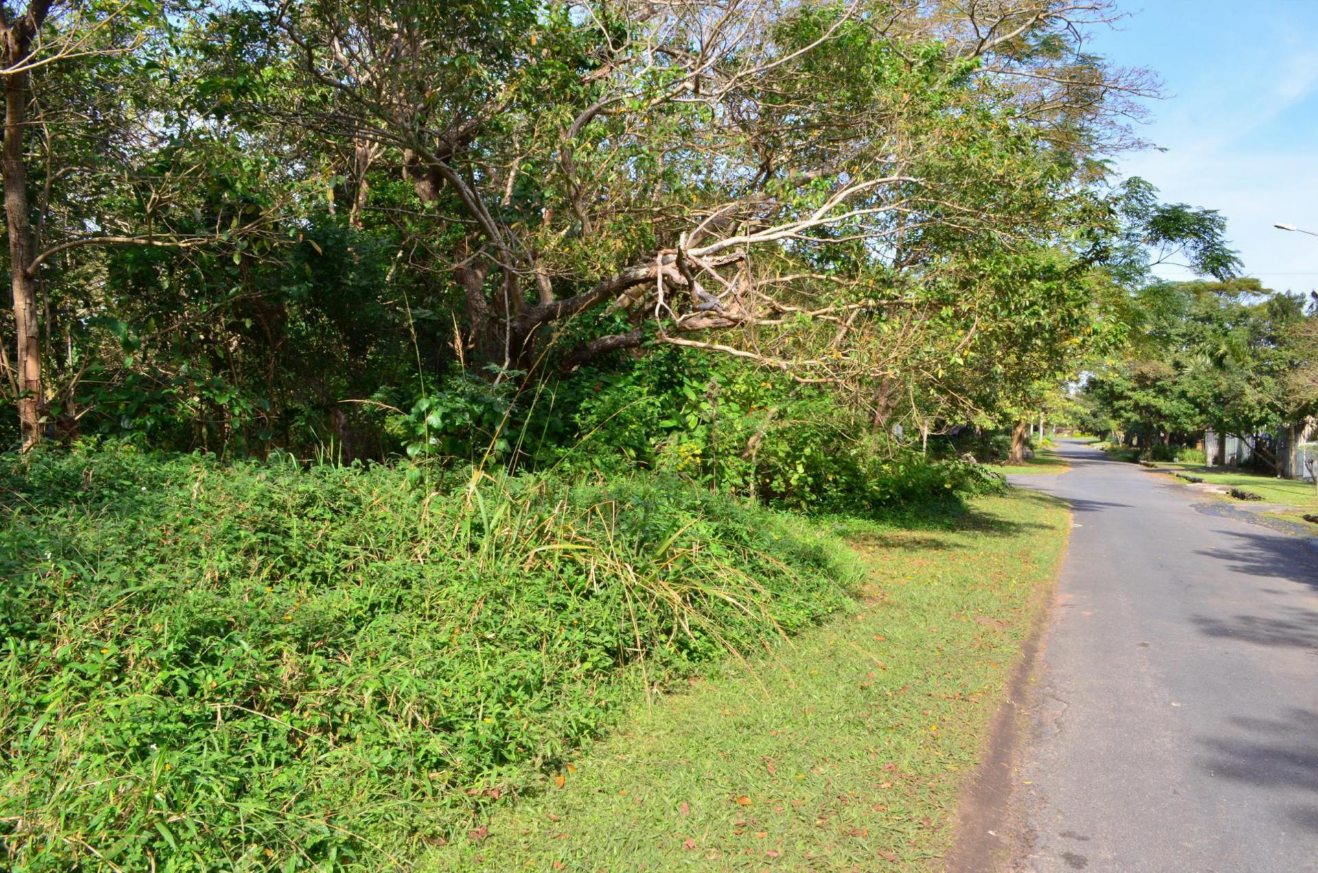 Front View of property in Pennington