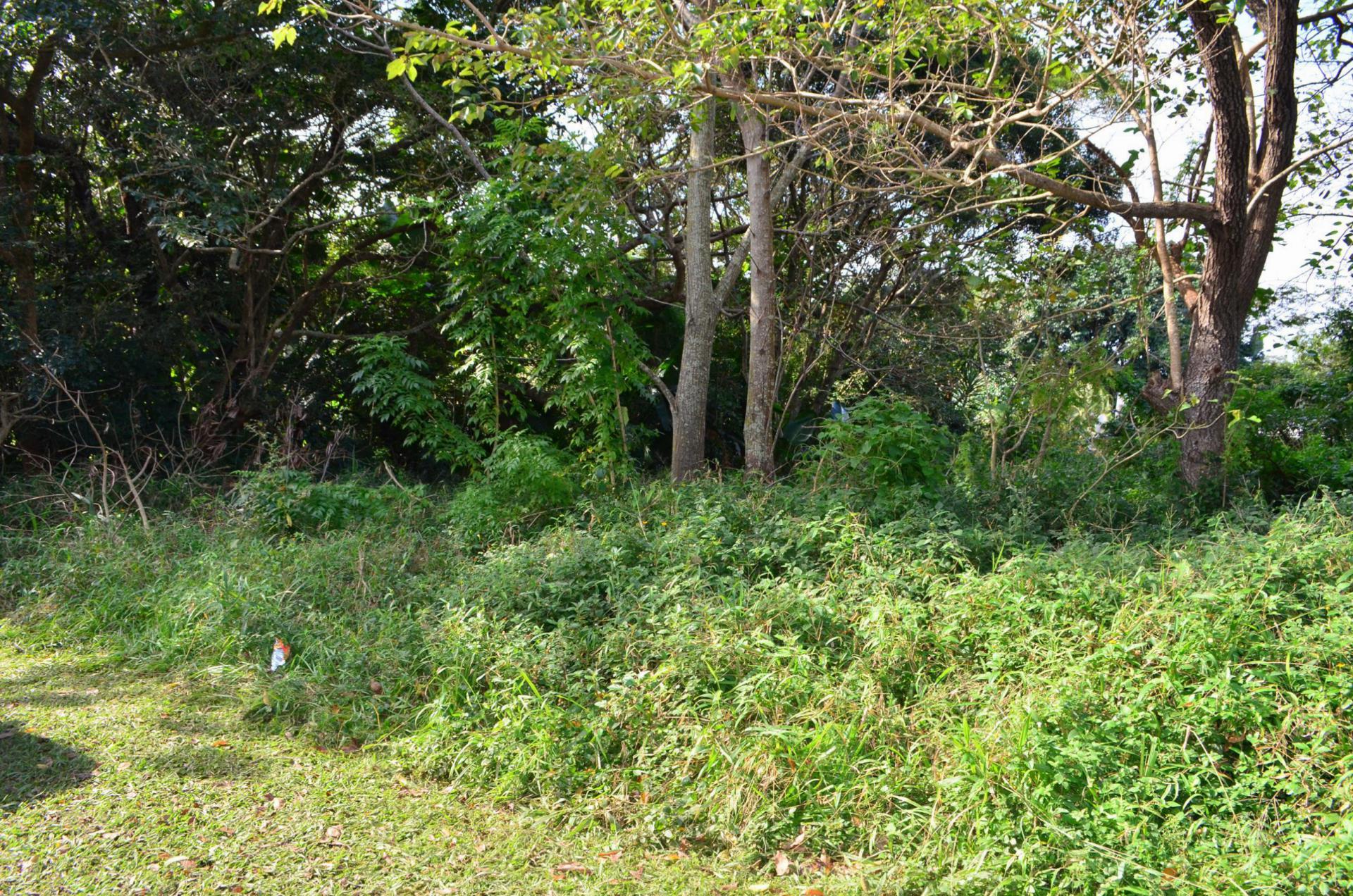 Front View of property in Pennington